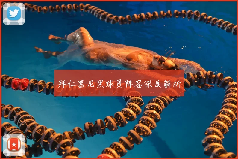 拜仁慕尼黑球员阵容深度解析