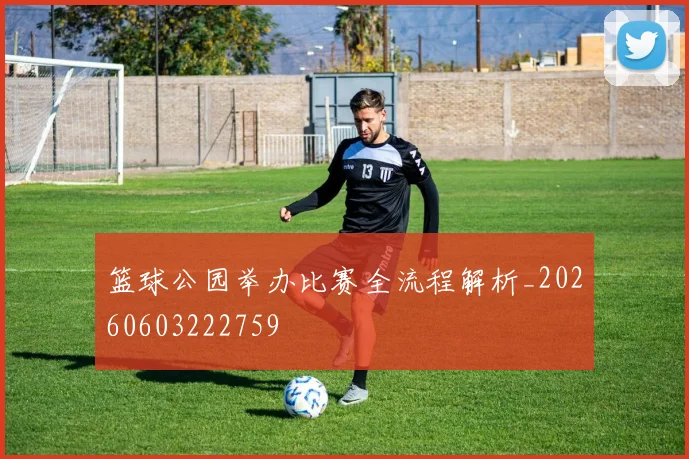 篮球公园举办比赛全流程解析_20260603222759